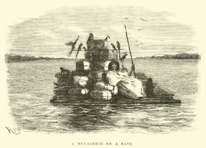 A Menagerie on a Raft